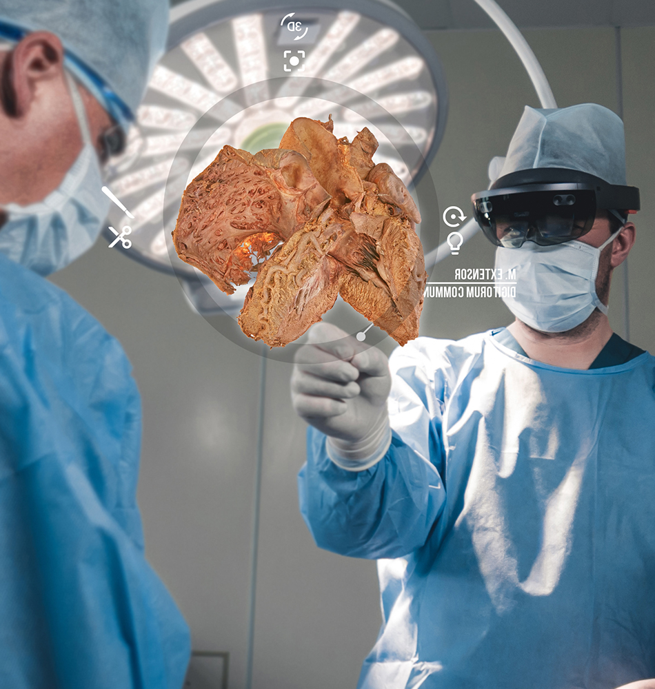 EFRO-project XR-module voor anatomisch onderwijs