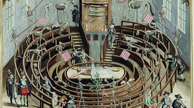 Anatomy in a Changing Field. Why it Still Matters.